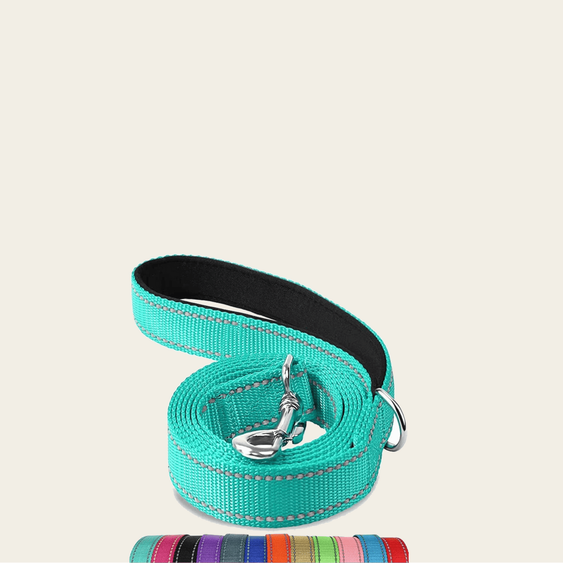 Fiesty Paw Nylon Leash in Aqua Blue with Slip Lead Design, highlighting maximum comfort and durability