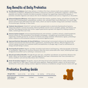 Key benefits of daily probiotics for dogs, including gut health, digestion support, and feeding guide for proper dosage.
