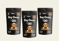 Three 30-count Fiesty Paw CBD Beef Chews pouches for dogs (90 total), showcasing CBD oil benefits for canine wellness.